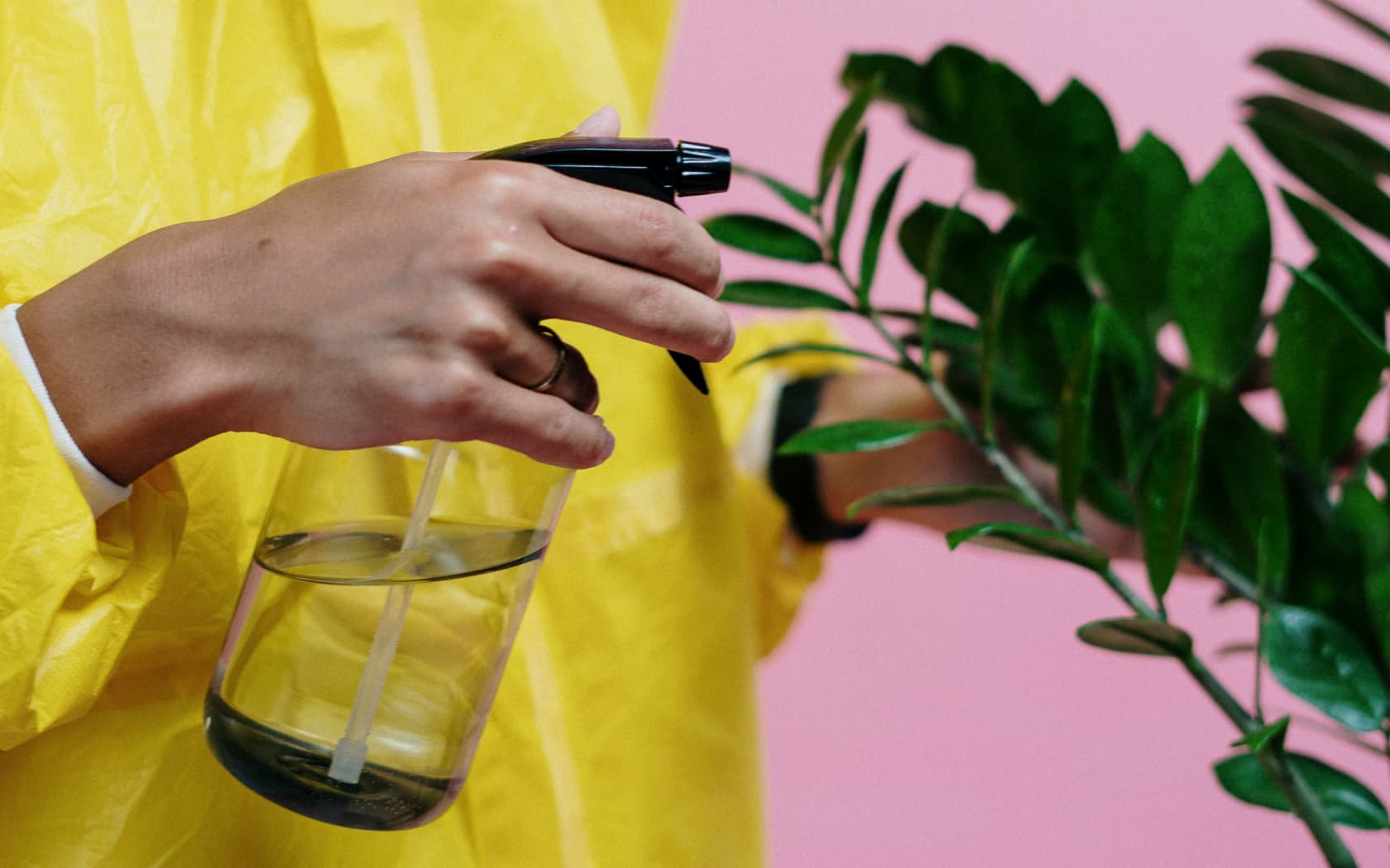 pexels-cottonbro-3951390